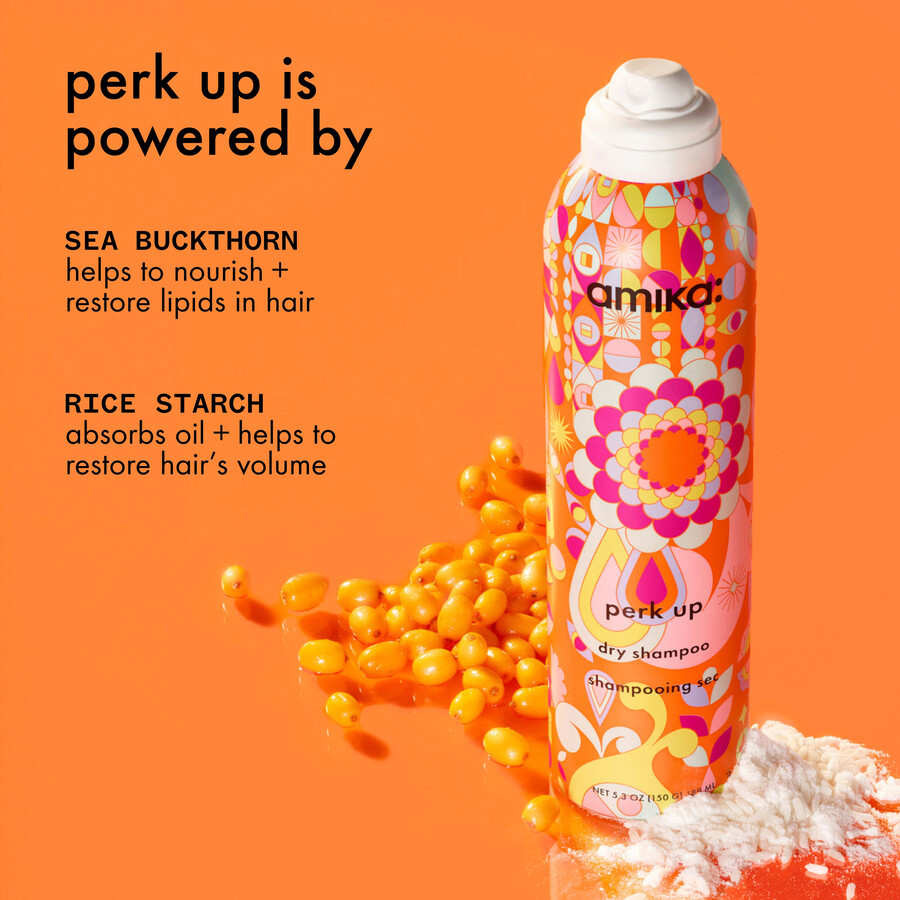 perk up